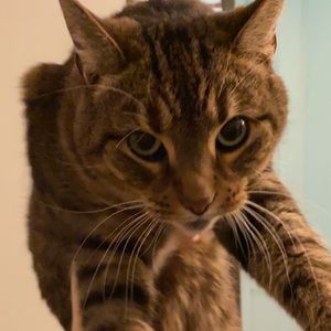 Meet your Posher, Jarrius